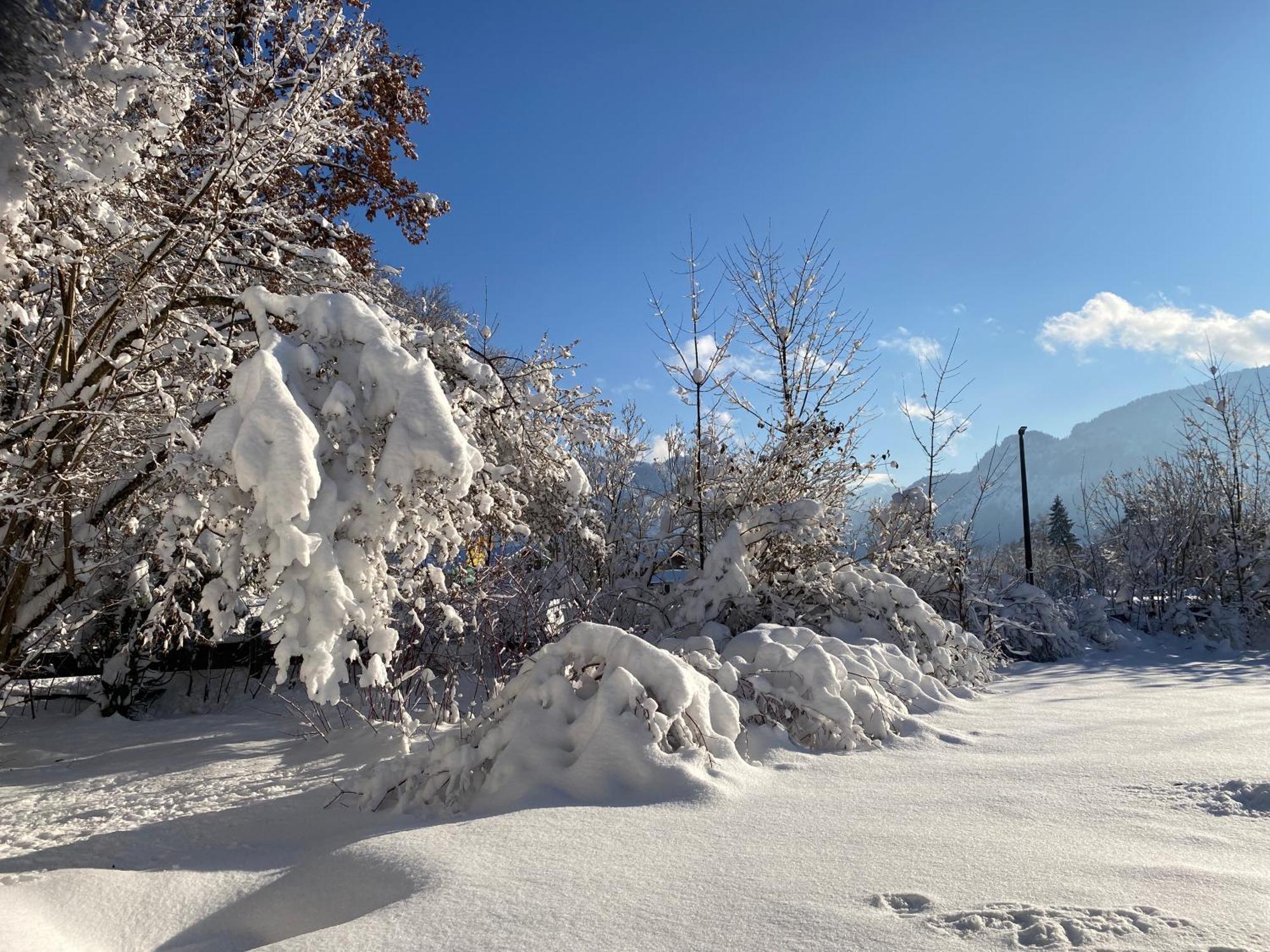Ferienhaus Endroes - Chiemgau Karte Inzell Bagian luar foto